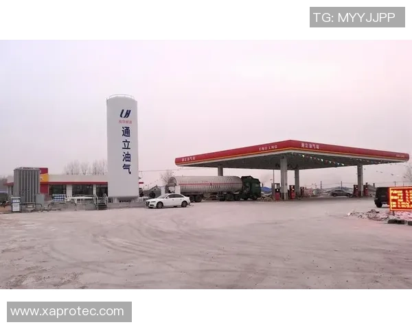 LNG的崛起之路：挑战者杯背后的成长与奋斗故事