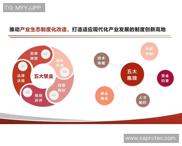上海羽毛球队创新盯防策略探讨与实践分析
