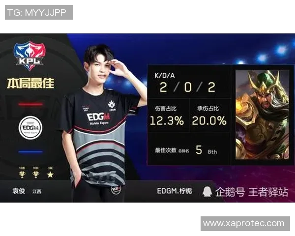 TES战队防守体系解析王者荣耀战术的深度剖析与应用技巧